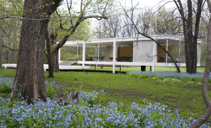 Maison à étages en verre surélevée à partir du sol sur des piliers en milieu rural au milieu des arbres et des fleurs bleues