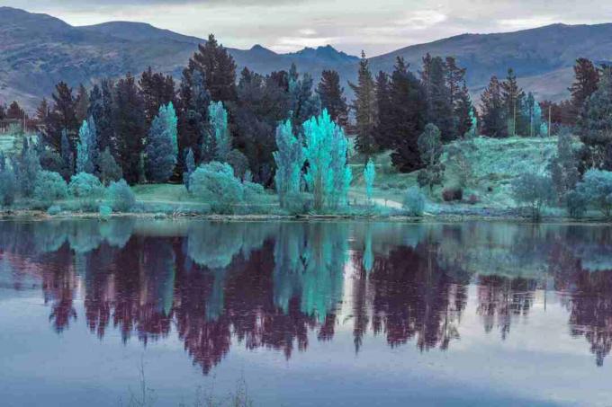 reflet du lac, paysage d'arbres colorés