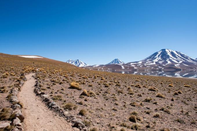 Inca Road à travers le désert d'Atacama, Chili