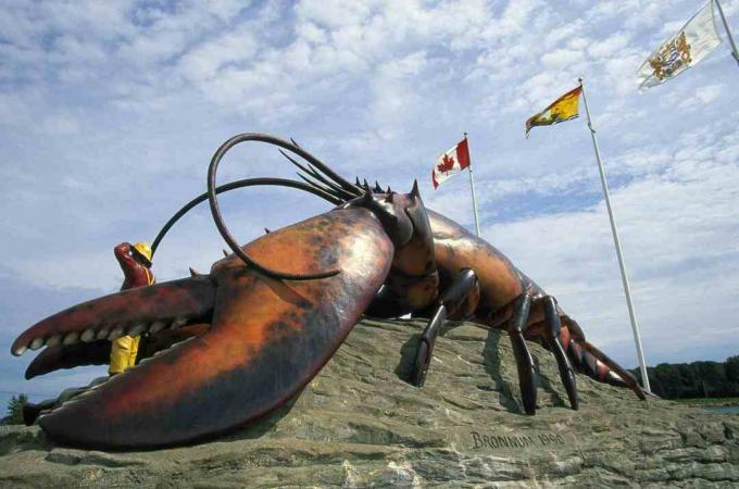 Le plus grand homard du monde, Nouveau-Brunswick / Walter Bibikow / Photothèque / Getty Images
