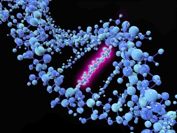 Une mutation ponctuelle est une mutation génétique dans laquelle une seule base nucléotidique est modifiée, insérée ou supprimée d'une séquence d'ADN ou d'ARN.