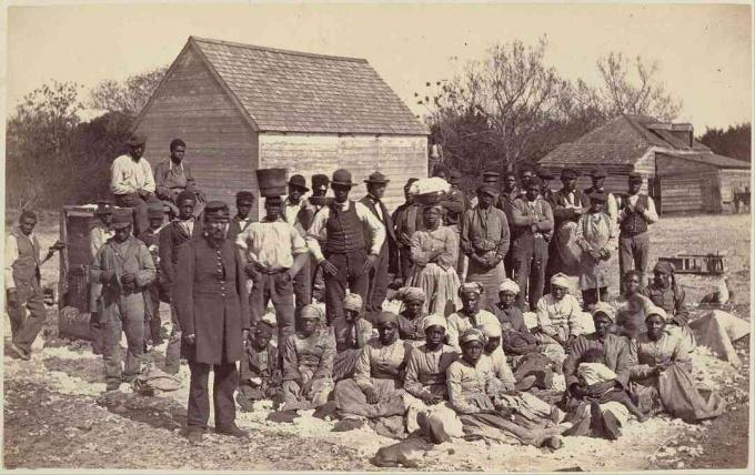 Photographie d'esclaves dans une plantation.