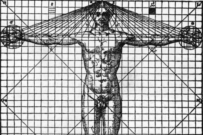 illustration en noir et blanc du front de l'homme sur un graphique avec des lignes montrant la symétrie et la proportion