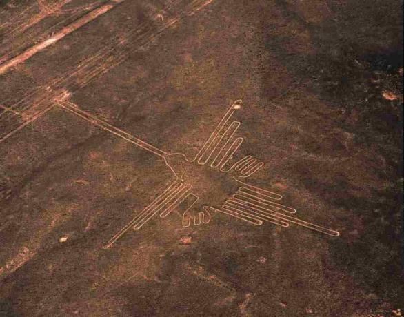 Vue aérienne du colibri géoglyphe, Nazca Lines