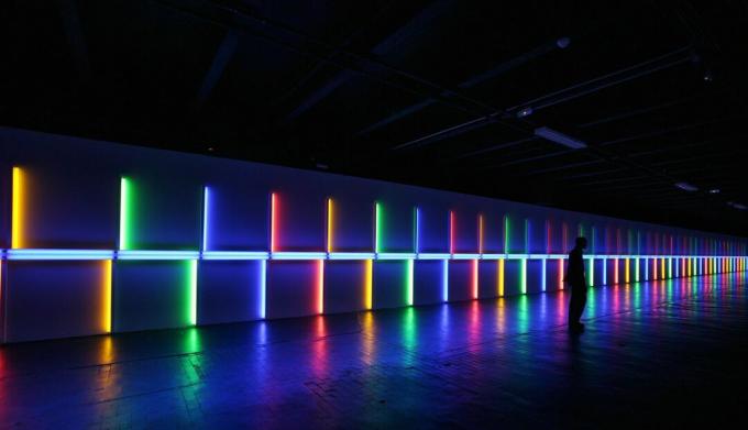 dan flavin à saskia