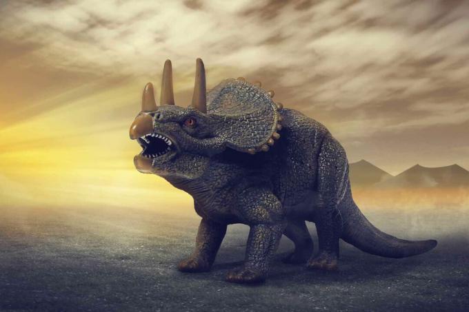 Un dinosaure Triceratops.