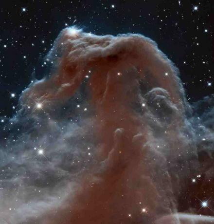 Nébuleuse à tête de cheval de Hubble