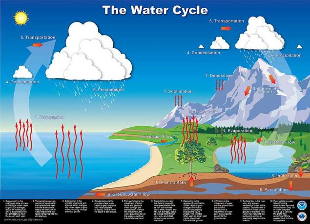 diagramme du cycle de l'eau