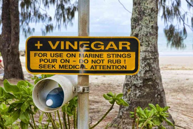 Signe pour le vinaigre pour les piqûres de méduses