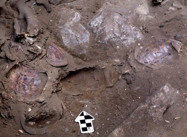 Des archéologues israéliens découvrent l'enterrement de She-Shaman