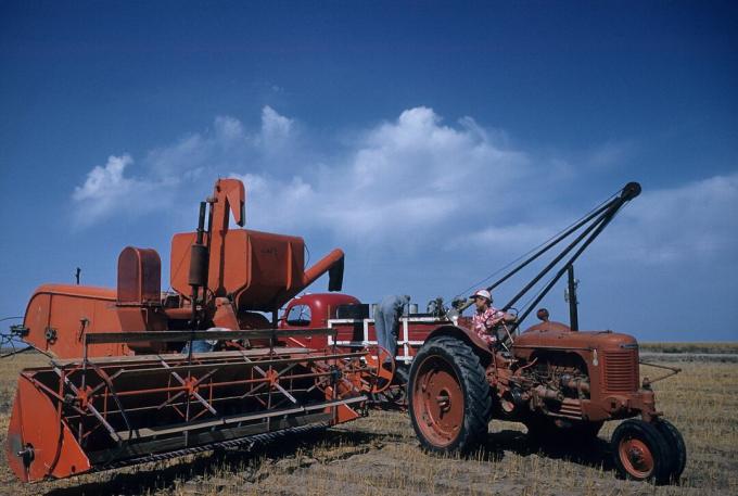 RÉCOLTE DE BLÉ À KANSAS