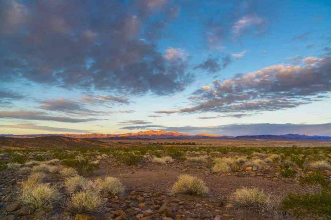 L'air tropical continental se forme sur des paysages désertiques comme au Nevada