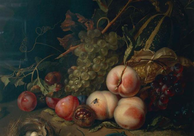 Comp Save to Board Italie, Florence, Nature morte avec fruits et insectes par Rachel Ruysch, 1711, huile sur toile, détail