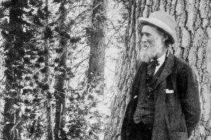 Photographie de John Muir dans les bois