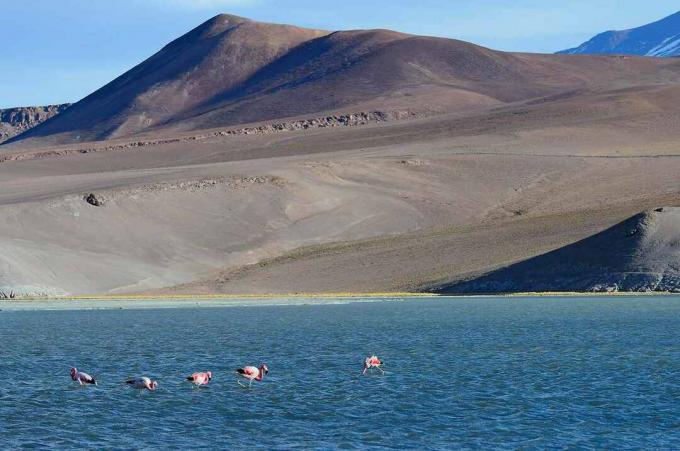 Atacama, Chili