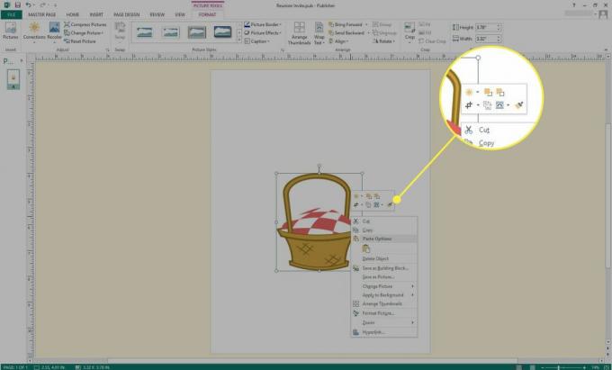 Une capture d'écran de Microsoft Publisher avec les options d'image en surbrillance