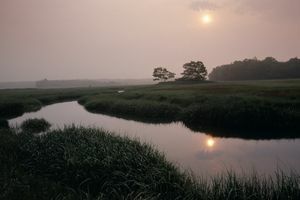 cadre naturel de la faune