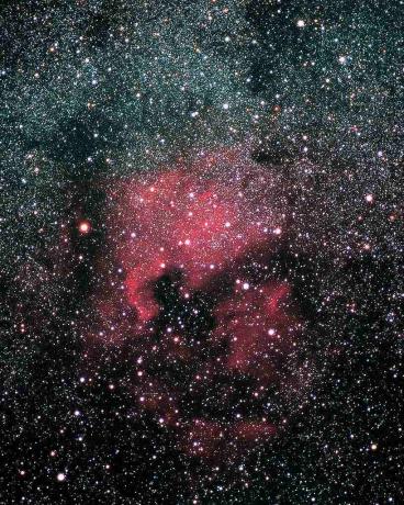La nébuleuse de l'Amérique du Nord dans la constellation du Cygne.