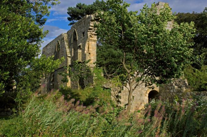 Abbaye de Jervaulx, près de Masham, North Yorkshire, Angleterre