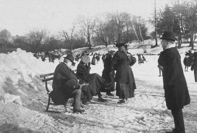 Patineurs d'étang