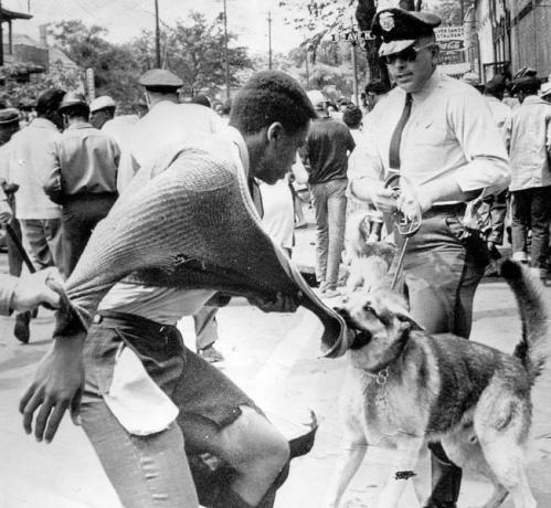 Un manifestant noir américain attaqué par un chien policier lors de manifestations contre la ségrégation, Birmingham, Alabama, 4 mai 1963.