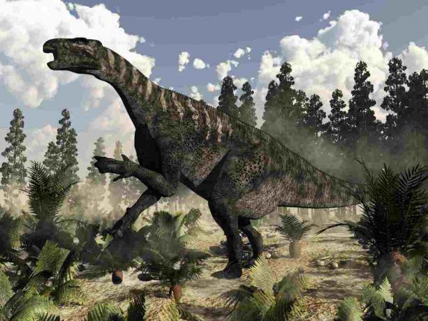 Dinosaure Iguanodon rugissant alors qu'il est entouré de fougères, de cycas et de plantes wollemia.