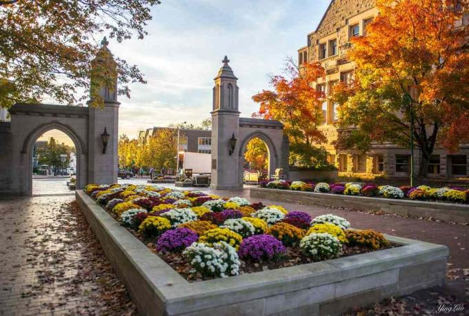 J'aime mon école, surtout à l'automne - Indiana University Of Bloomington