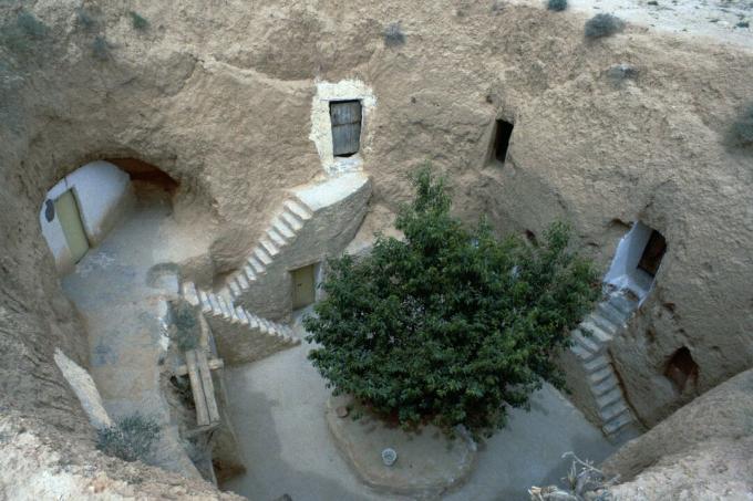 les escaliers, les portes et les fenêtres permettent d'accéder aux espaces de vie creusés dans la terre - un arbre est au centre de la communauté à ciel ouvert