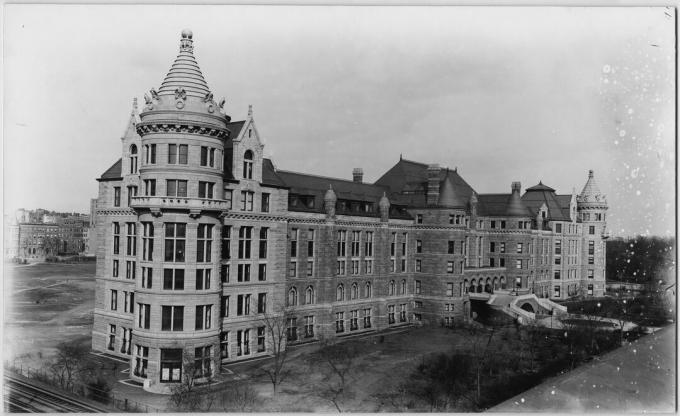 Musée américain d'histoire naturelle