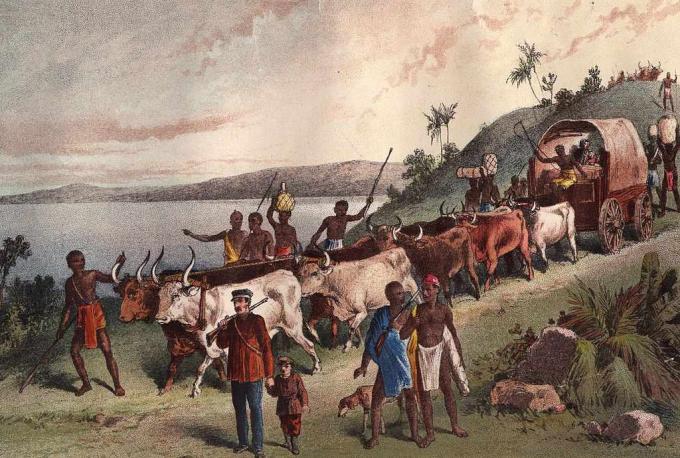 vers 1855: arrivée de l'explorateur britannique David Livingstone et fête au lac Ngami.