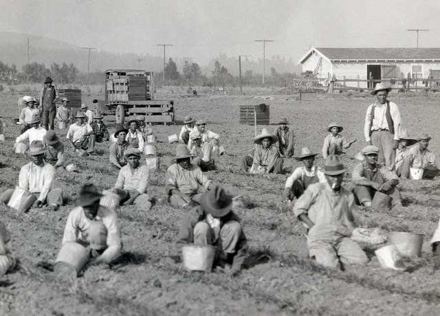 L'agriculture dans la vallée de San Fernando, ca. 1920