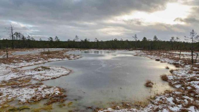 Tourbière estonienne Lake en hiver