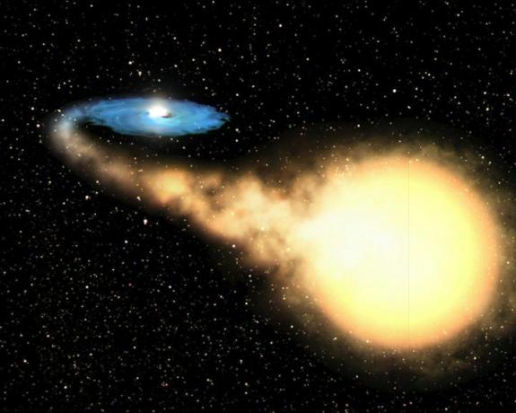 trou noir de masse stellaire