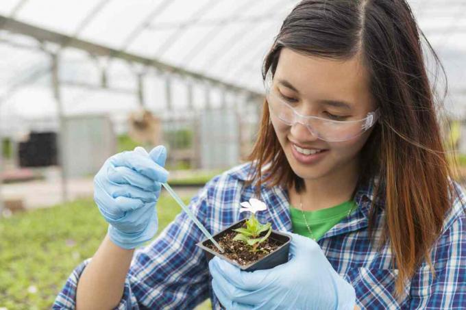 Étudiant asiatique travaillant sur la botanique