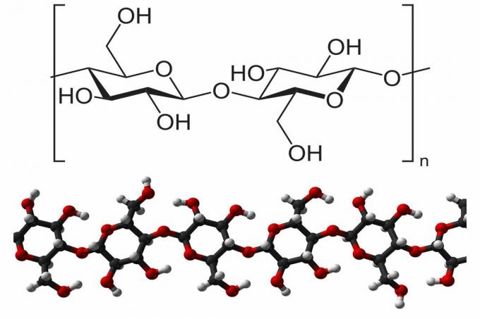 Structure chimique de la cellulose