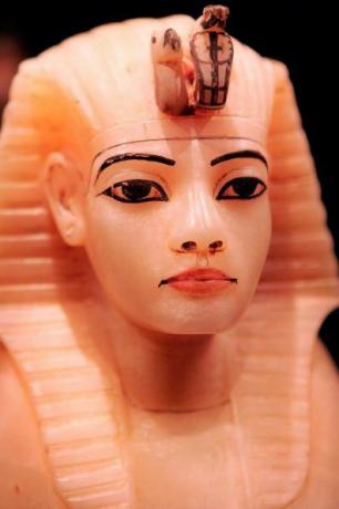 Pot canope pour King Tut