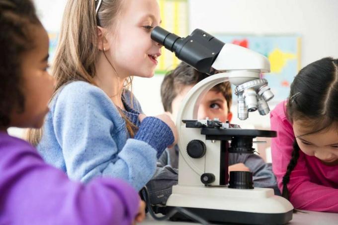 Quatre enfants mènent une expérience scientifique à l'aide d'un microscope pour faire des observations