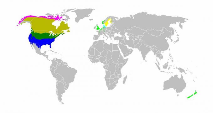 Carte du monde montrant l'habitat de la bernache du Canada.