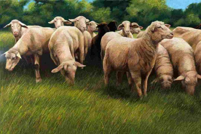 Illustration pastel réaliste de moutons au pâturage