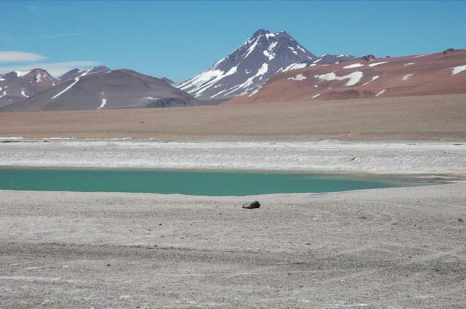 Image de la piscine Acamarachi