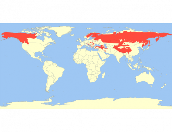 Aire de répartition de l'ours brun en 2010.