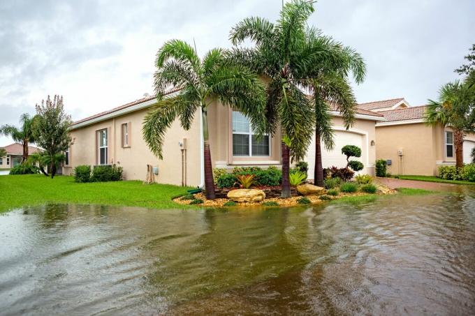 Réclamation d'assurance: inondations causées par un ouragan