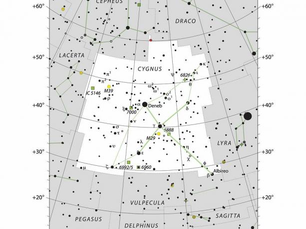 La constellation du Cygne le cygne.