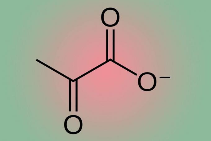 Faits Sur Le Pyruvate Et Oxydation 