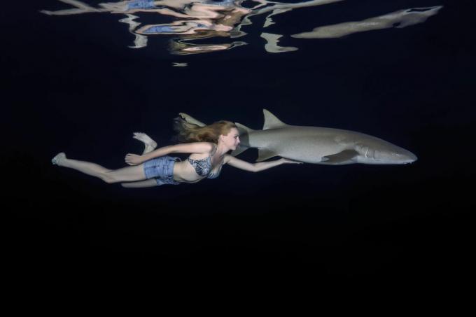 Les plongeurs sont généralement en sécurité autour des requins nourrices et autres requins tapis, mais les morsures se produisent lorsque le poisson est dérangé ou provoqué.