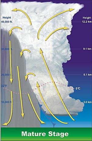 Stade mature d'une illustration de tempête de tonnerre